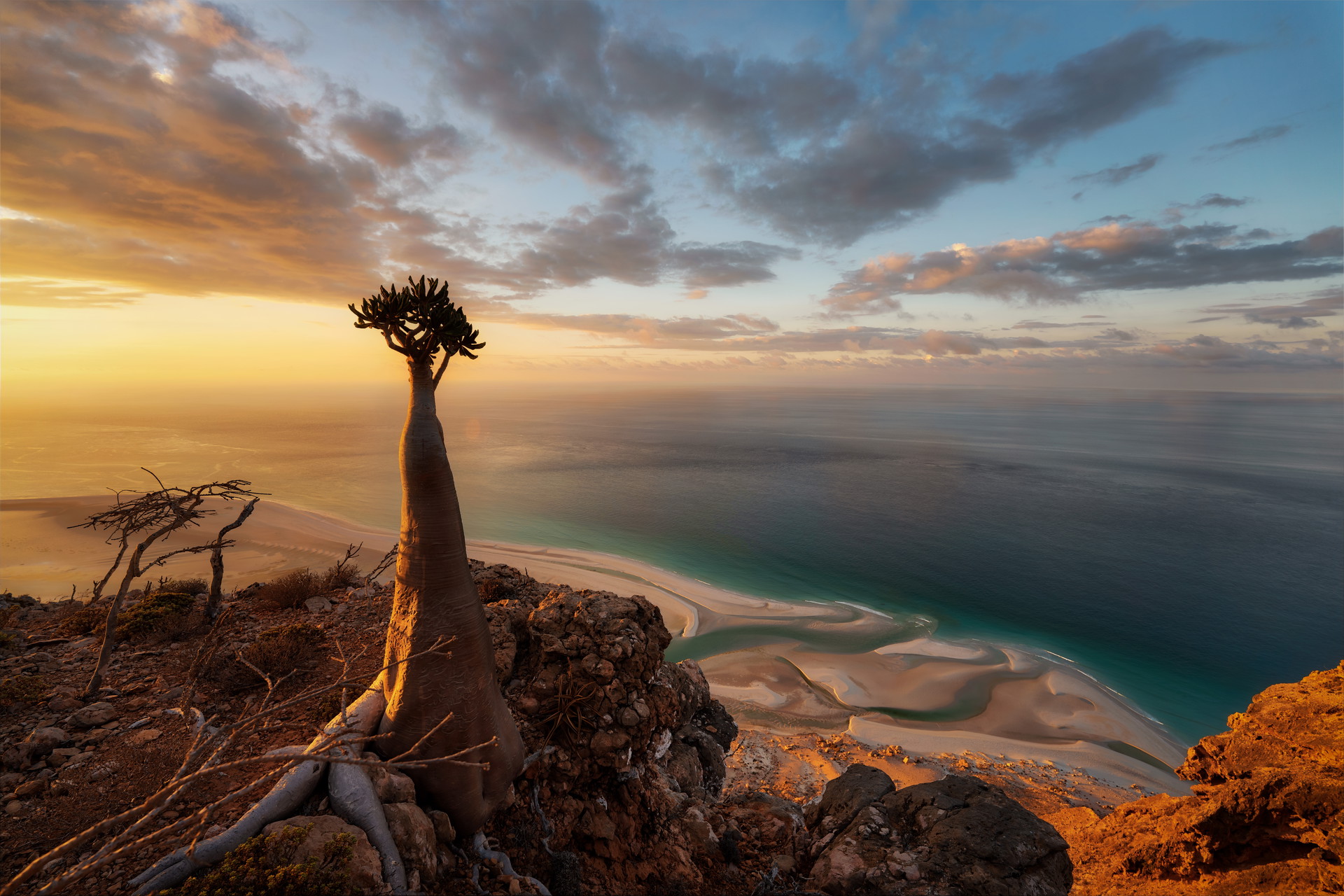 About Socotra Golden Land Tours